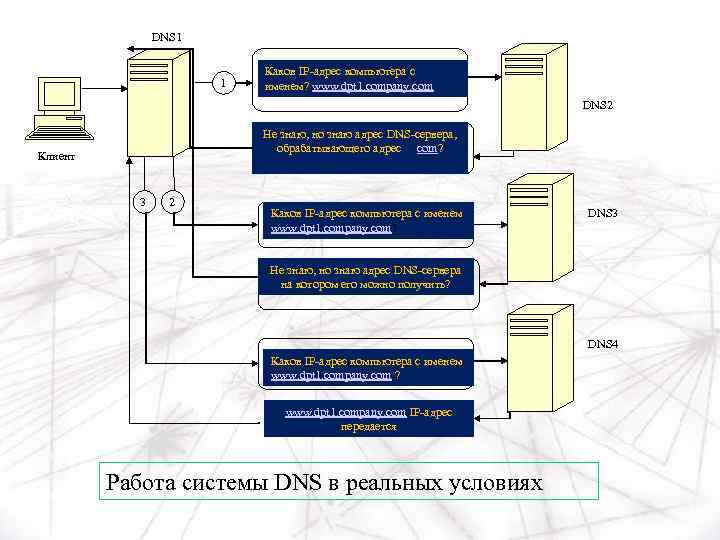 DNS 1 1 Каков IP-адрес компьютера с именем? www. dpt 1. company. com DNS