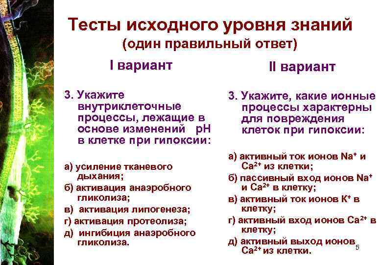 Тесты исходного уровня знаний (один правильный ответ) I вариант II вариант 3. Укажите внутриклеточные