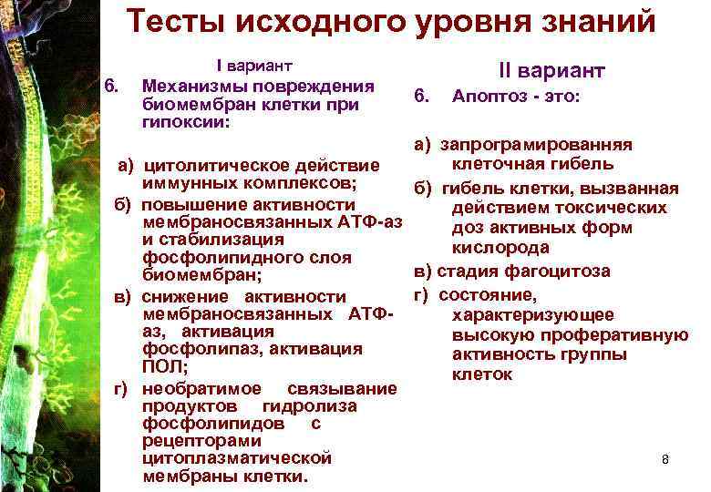 Гипоксия клеток. Механизмы повреждения клеток при гипоксии. Механизм повреждения биомембран. Повреждение клетки при гипоксии. Механизм гибели клеток при гипоксии.