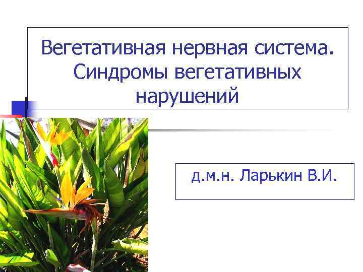 Вегетативная нервная система. Синдромы вегетативных нарушений д. м. н. Ларькин В. И. 