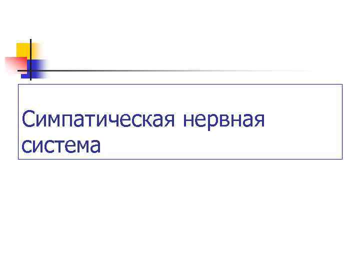 Симпатическая нервная система 