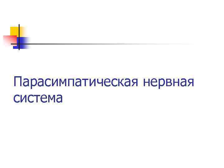 Парасимпатическая нервная система 