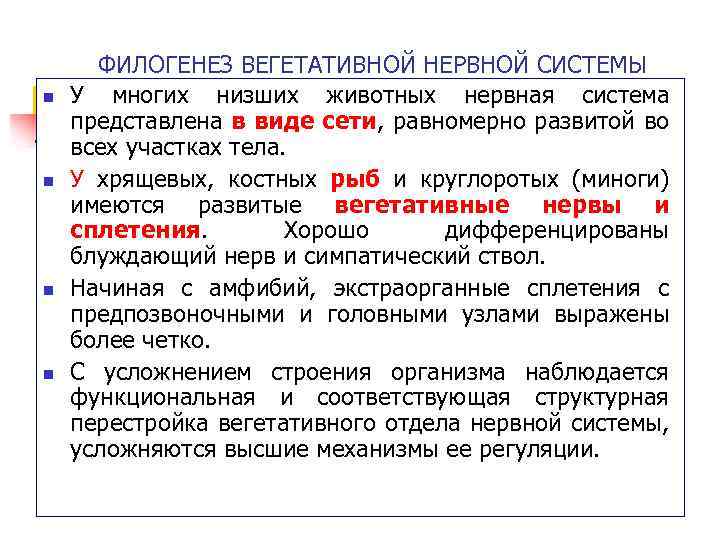 n n ФИЛОГЕНЕЗ ВЕГЕТАТИВНОЙ НЕРВНОЙ СИСТЕМЫ У многих низших животных нервная система представлена в