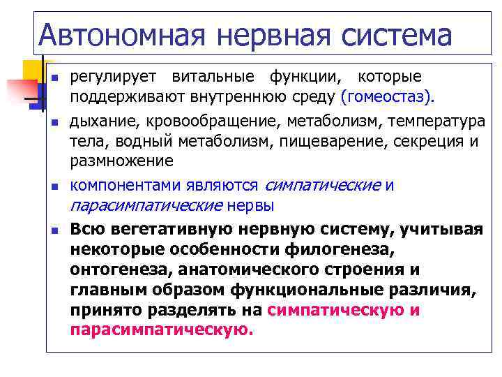 Автономная нервная система n n регулирует витальные функции, которые поддерживают внутреннюю среду (гомеостаз). дыхание,