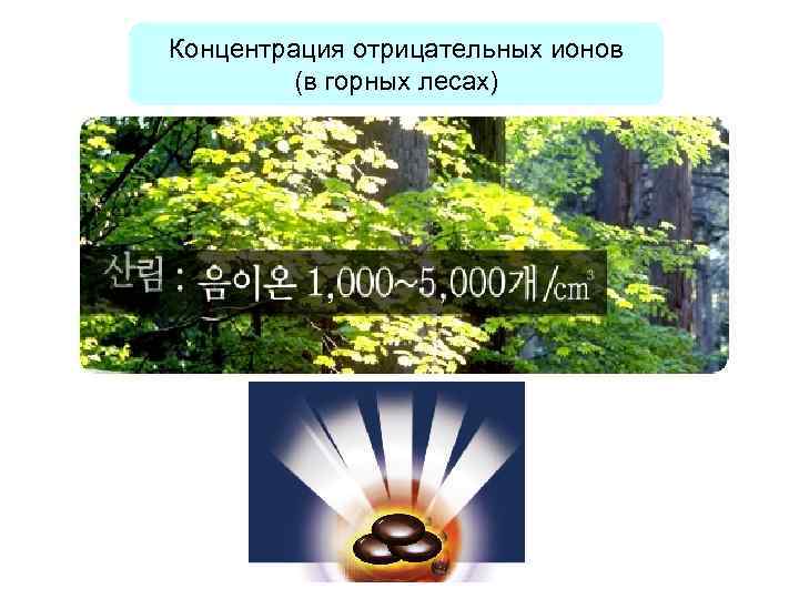 Концентрация отрицательных ионов (в горных лесах) 