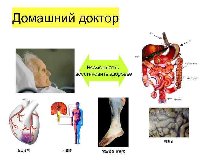 Домашний доктор Возможность восстановить здоровье 