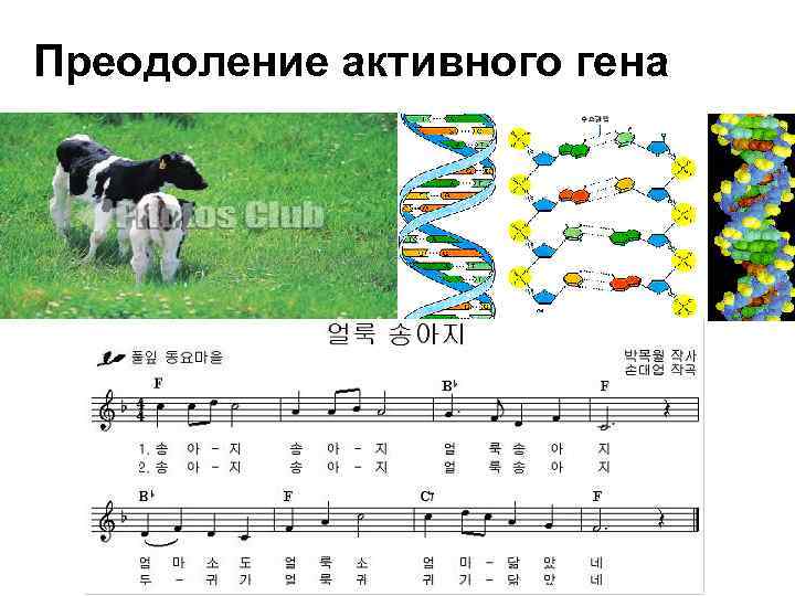 Преодоление активного гена 