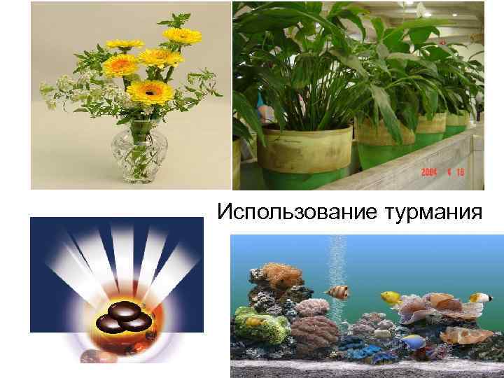 Использование турмания 