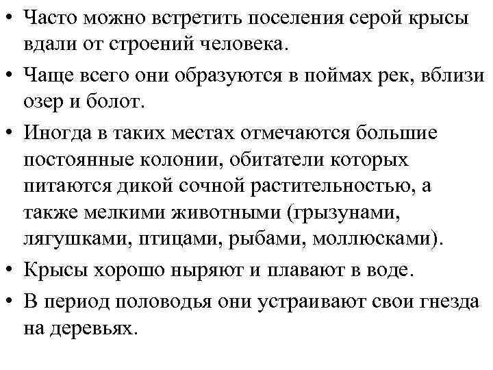  • Часто можно встретить поселения серой крысы вдали от строений человека. • Чаще