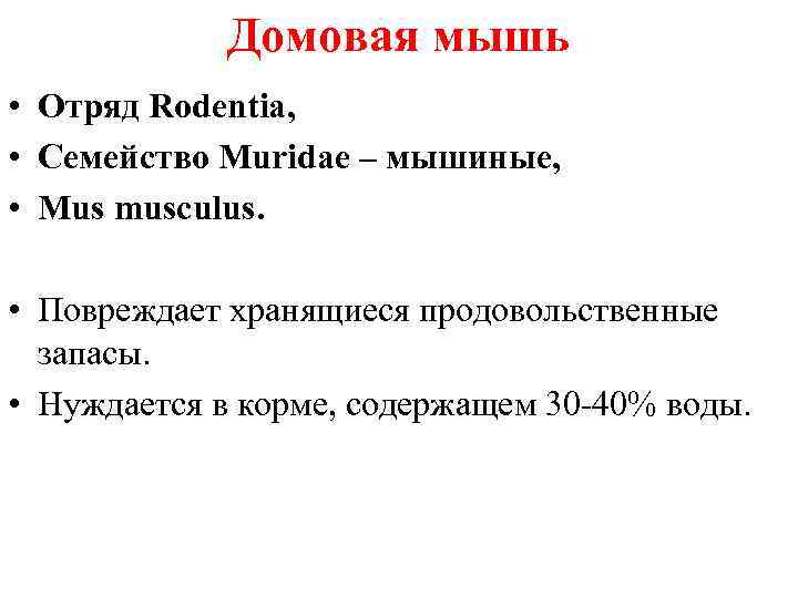Домовая мышь • Отряд Rodentia, • Семейство Muridae – мышиные, • Mus musculus. •