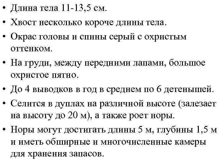  • Длина тела 11 -13, 5 см. • Хвост несколько короче длины тела.
