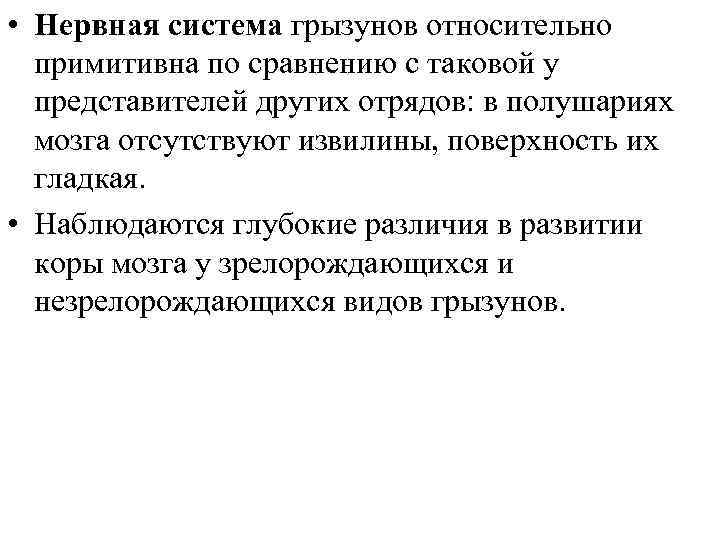  • Нервная система грызунов относительно примитивна по сравнению с таковой у представителей других