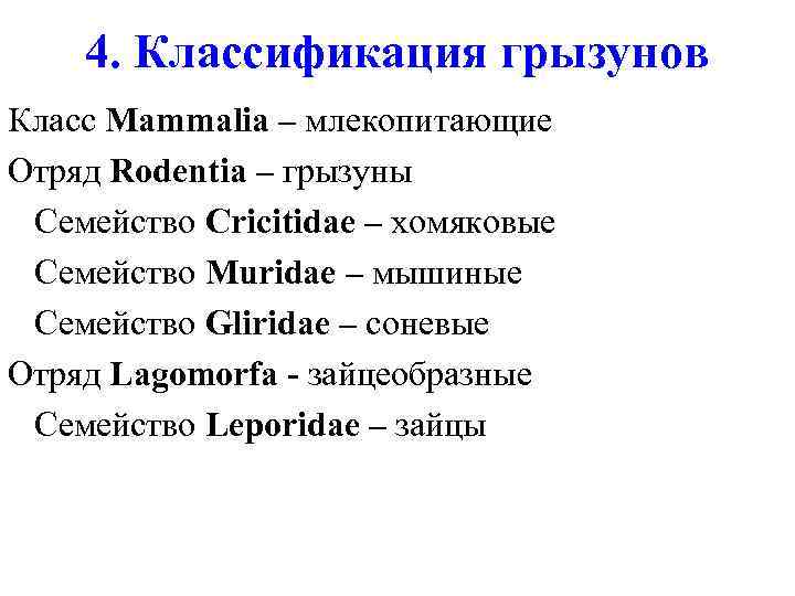 4. Классификация грызунов Класс Mammalia – млекопитающие Отряд Rodentia – грызуны Семейство Cricitidae –