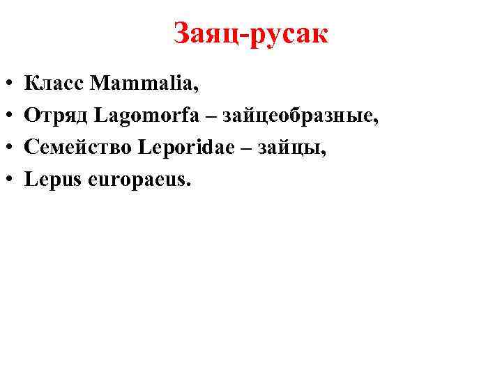 Заяц-русак • • Класс Mammalia, Отряд Lagomorfa – зайцеобразные, Семейство Leporidae – зайцы, Lepus