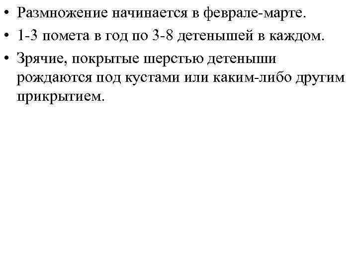  • Размножение начинается в феврале-марте. • 1 -3 помета в год по 3