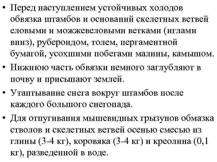 • Перед наступлением устойчивых холодов обвязка штамбов и оснований скелетных ветвей еловыми и