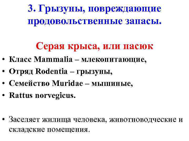 3. Грызуны, повреждающие продовольственные запасы. Серая крыса, или пасюк • • Класс Mammalia –
