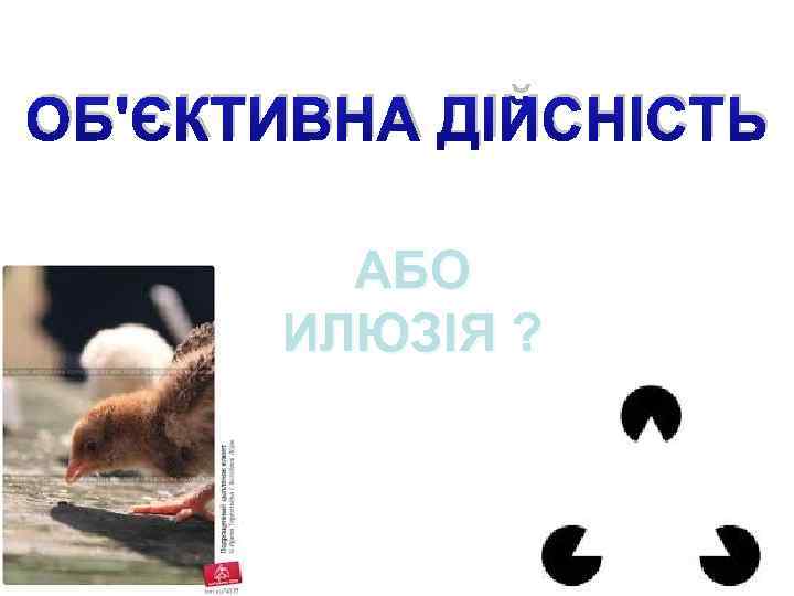 ОБ'ЄКТИВНА ДІЙСНІСТЬ АБО ИЛЮЗІЯ ? 