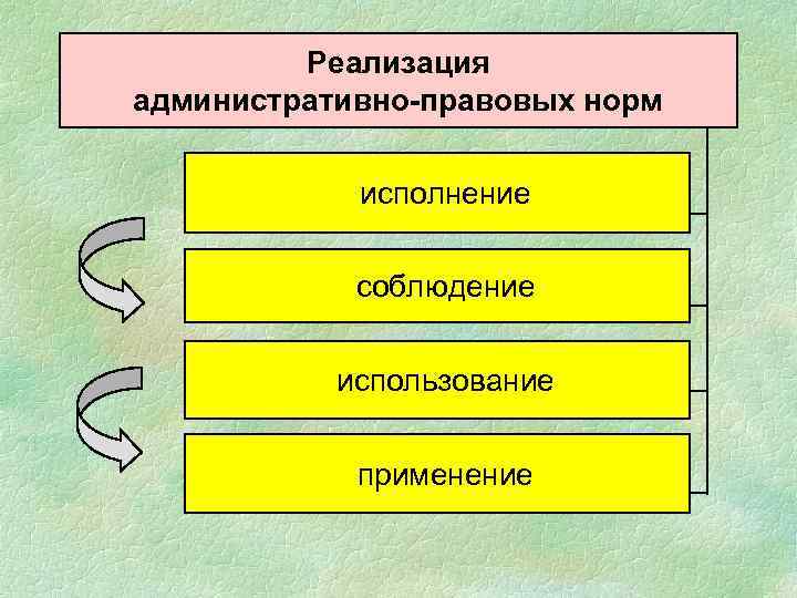 Реализация административно-правовых норм исполнение соблюдение использование применение 