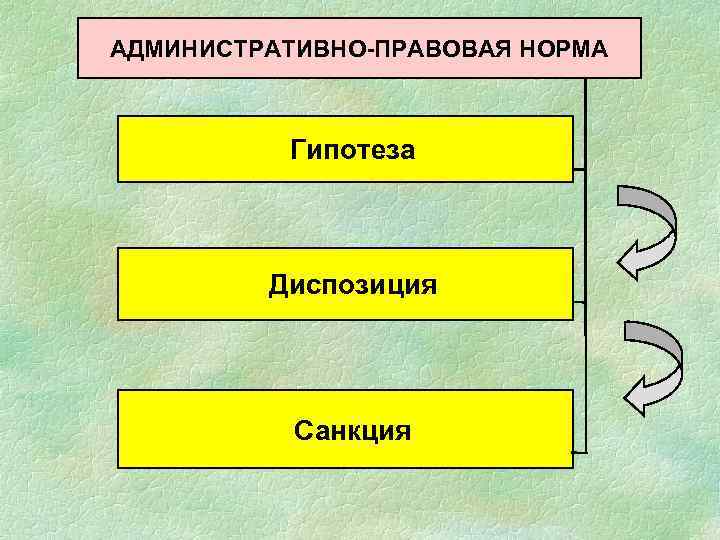 АДМИНИСТРАТИВНО-ПРАВОВАЯ НОРМА Гипотеза Диспозиция Санкция 