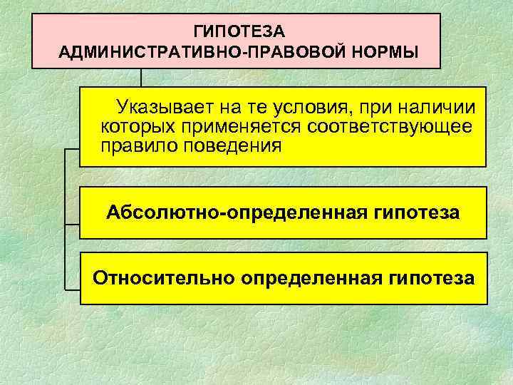ГИПОТЕЗА АДМИНИСТРАТИВНО-ПРАВОВОЙ НОРМЫ Указывает на те условия, при наличии которых применяется соответствующее правило поведения