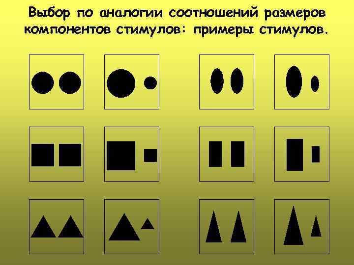 Выбор по аналогии соотношений размеров компонентов стимулов: примеры стимулов. 