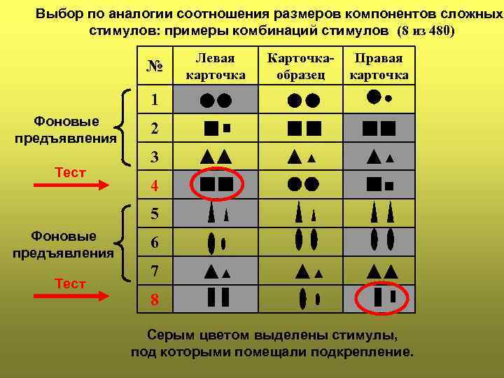 Выбор по аналогии соотношения размеров компонентов сложных стимулов: примеры комбинаций стимулов (8 из 480)