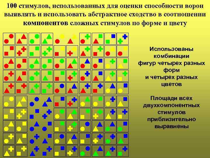 100 стимулов, использованных для оценки способности ворон выявлять и использовать абстрактное сходство в соотношении
