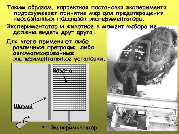 Таким образом, корректная постановка эксперимента подразумевает принятие мер для предотвращения неосознанных подсказок экспериментатора Экспериментатор