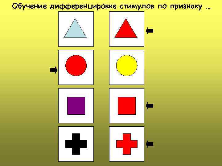 Обучение дифференцировке стимулов по признаку … 