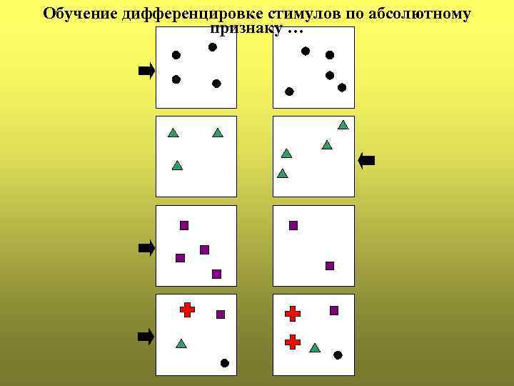 Обучение дифференцировке стимулов по абсолютному признаку … 