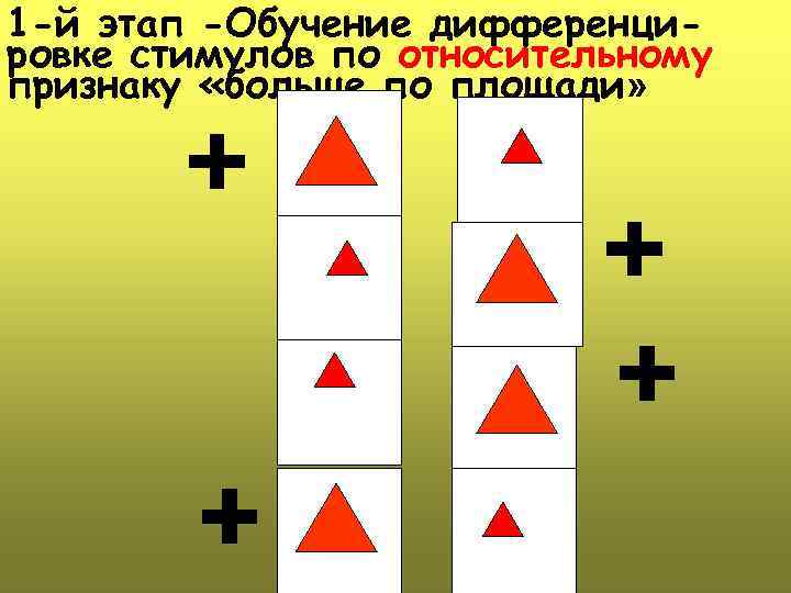 1 -й этап -Обучение дифференцировке стимулов по относительному признаку «больше по площади» 