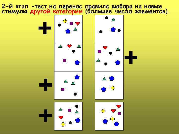 2 -й этап -тест на перенос правила выбора на новые стимулы другой категории (большее