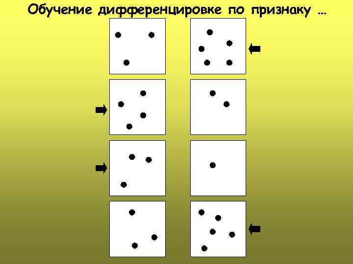 Обучение дифференцировке по признаку … 
