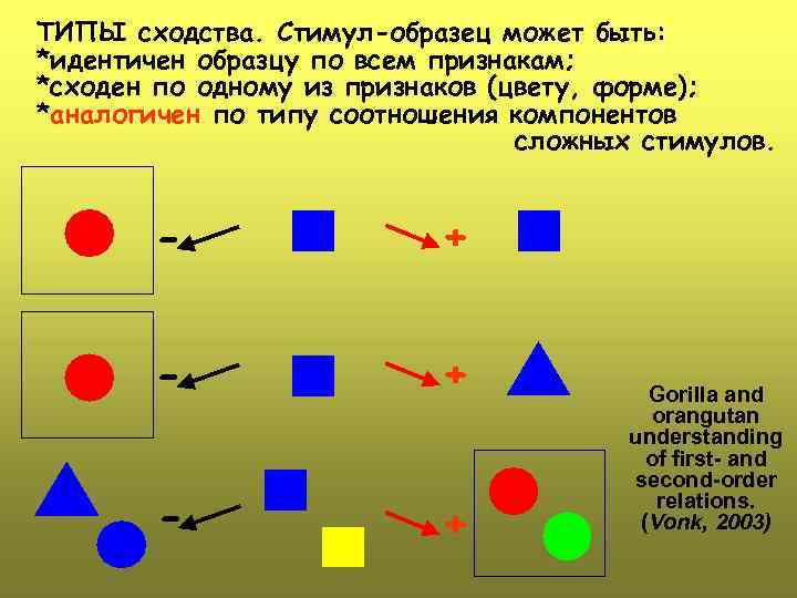 ТИПЫ сходства. Стимул-образец может быть: *идентичен образцу по всем признакам; *сходен по одному из