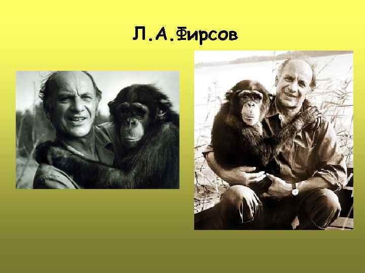 Л. А. Фирсов 