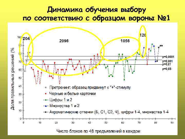 Динамика обучения выбору по соответствию с образцом вороны № 1 204 128 2096 1056