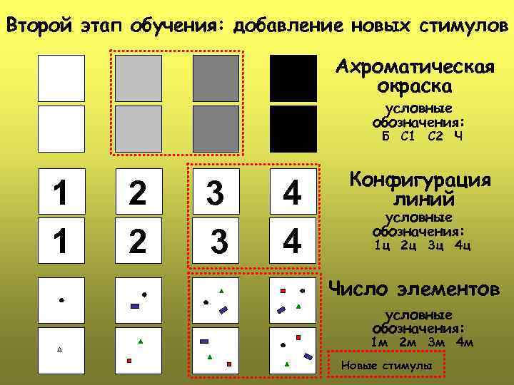 Второй этап обучения: добавление новых стимулов Ахроматическая окраска условные обозначения: Б С 1 С