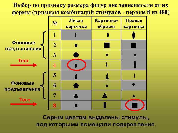 Выбор по признаку размера фигур вне зависимости от их формы (примеры комбинаций стимулов -