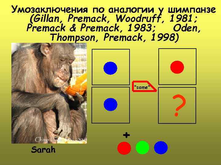 Умозаключения по аналогии у шимпанзе (Gillan, Premack, Woodruff, 1981; Premack & Premack, 1983; Oden,