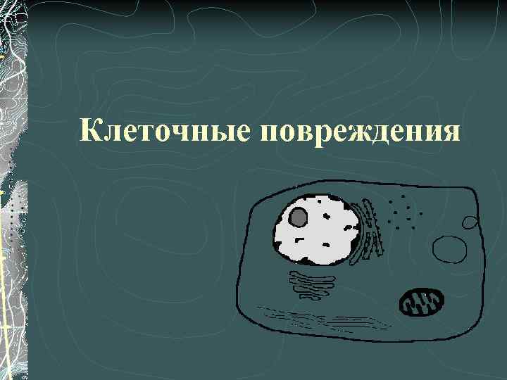 Клеточные повреждения 