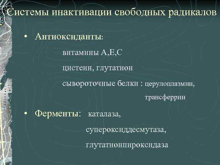 Системы инактивации свободных радикалов • Антиоксиданты: витамины А, Е, С цистеин, глутатион сывороточные белки