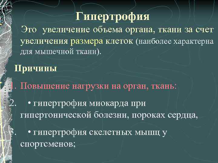 Гипертрофия Это увеличение объема органа, ткани за счет увеличения размера клеток (наиболее характерна для