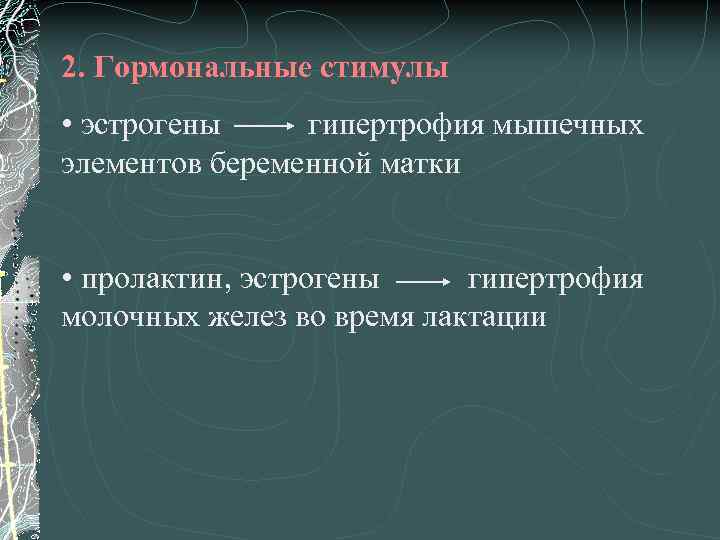 2. Гормональные стимулы • эстрогены гипертрофия мышечных элементов беременной матки • пролактин, эстрогены гипертрофия