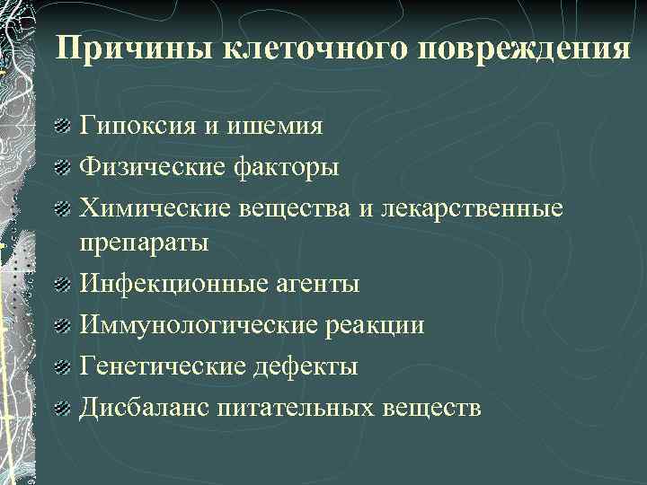 Причины клеточного повреждения Гипоксия и ишемия Физические факторы Химические вещества и лекарственные препараты Инфекционные