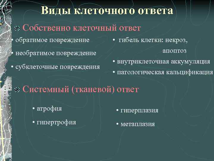 Виды клеточного ответа Собственно клеточный ответ • обратимое повреждение • необратимое повреждение • субклеточные
