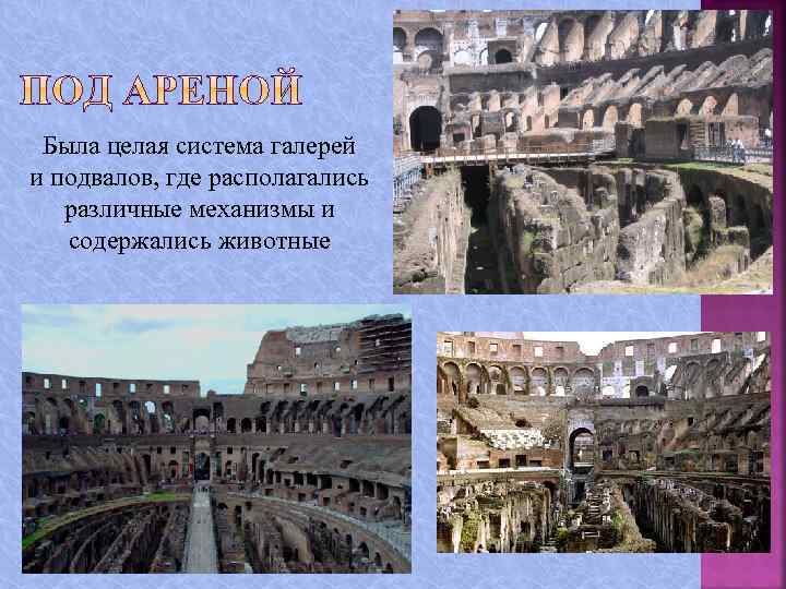 Была целая система галерей и подвалов, где располагались различные механизмы и содержались животные 