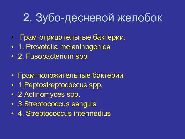 2. Зубо-десневой желобок • Грам-отрицательные бактерии. • 1. Prevotella melaninogenica • 2. Fusobacterium spp.