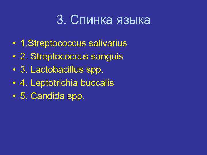 3. Спинка языка • • • 1. Streptococcus salivarius 2. Streptococcus sanguis 3. Lactobacillus