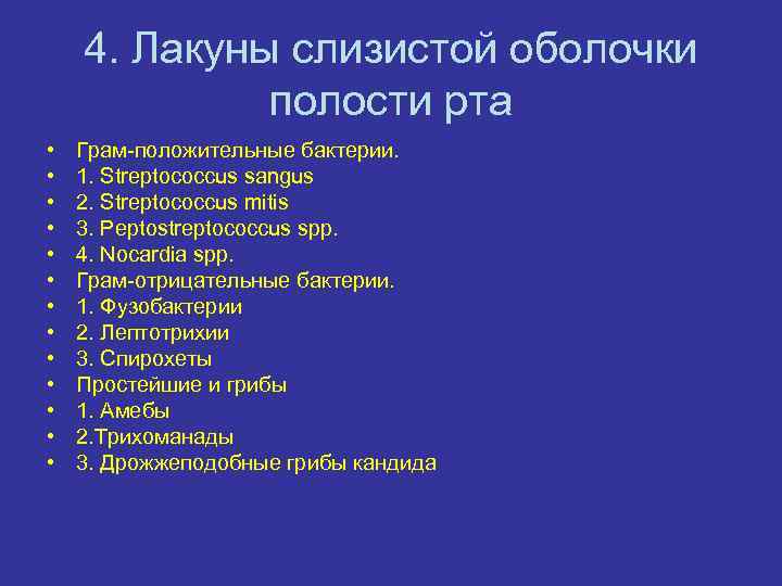 4. Лакуны слизистой оболочки полости рта • • • • Грам-положительные бактерии. 1. Streptococcus